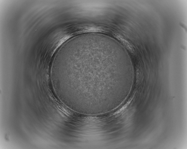 X0000096431170200802071719