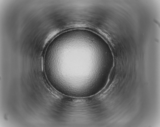 X0000096431171200802071719