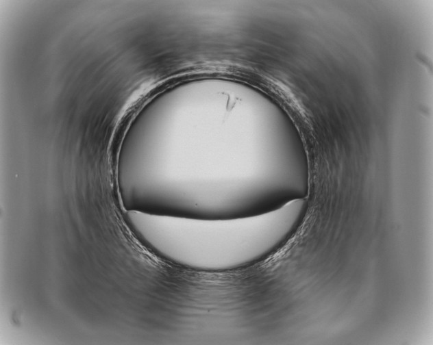 X0000096431172200802071719