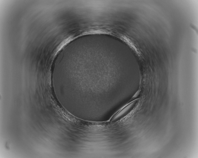 X0000096431173200802071719
