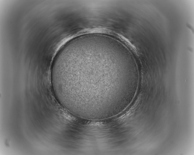 X0000096431174200802071719