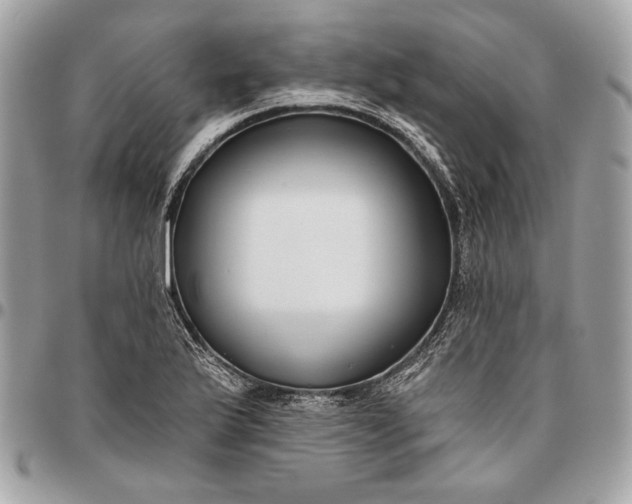 X0000096431175200802071719