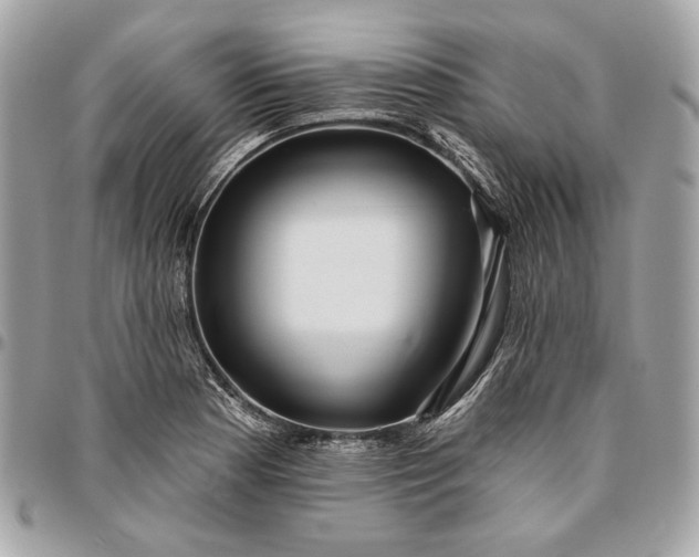 X0000096431177200802071719