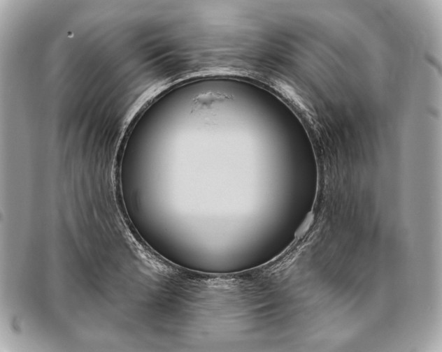 X0000096431181200802071718