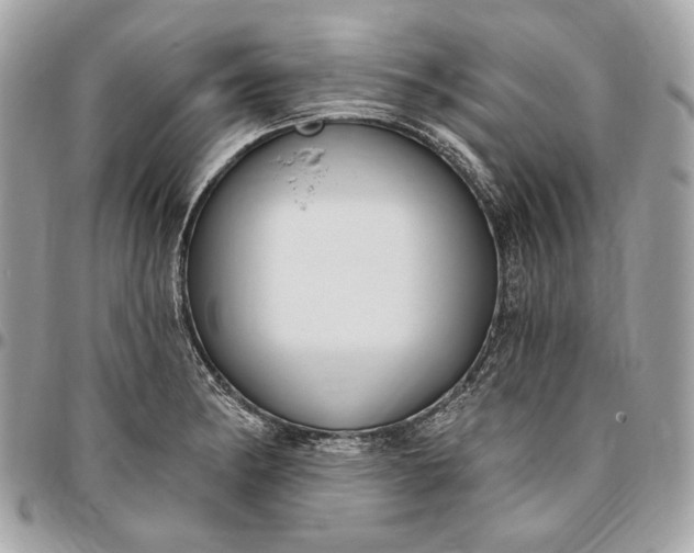 X0000096431182200802071718