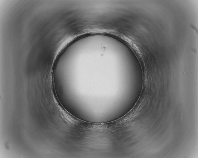 X0000096431183200802071718