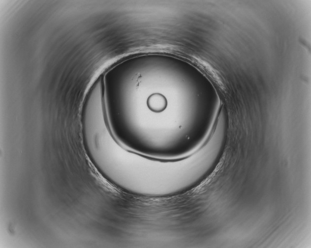 X0000096431184200802071718