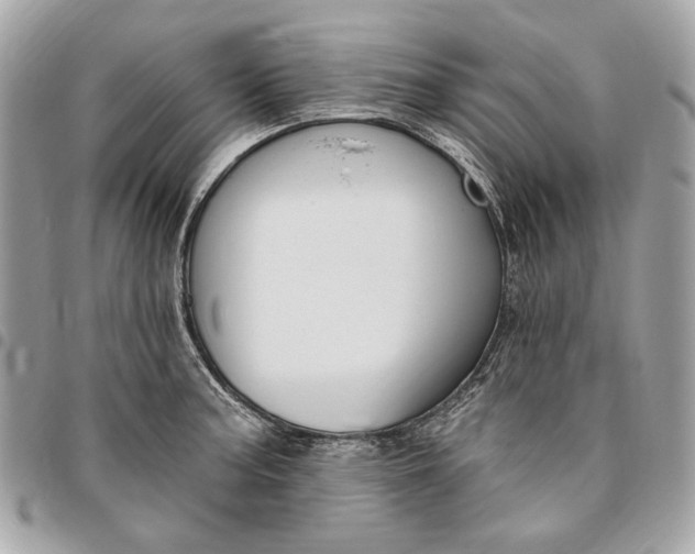 X0000096431187200802071718