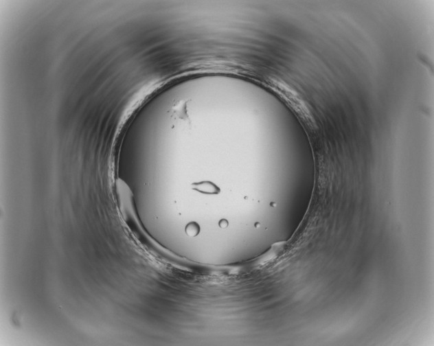 X0000096431188200802071718