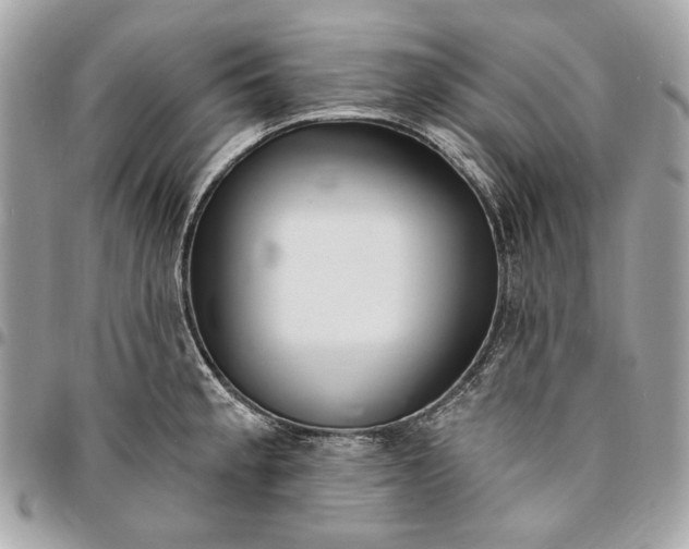 X0000096431189200802071718