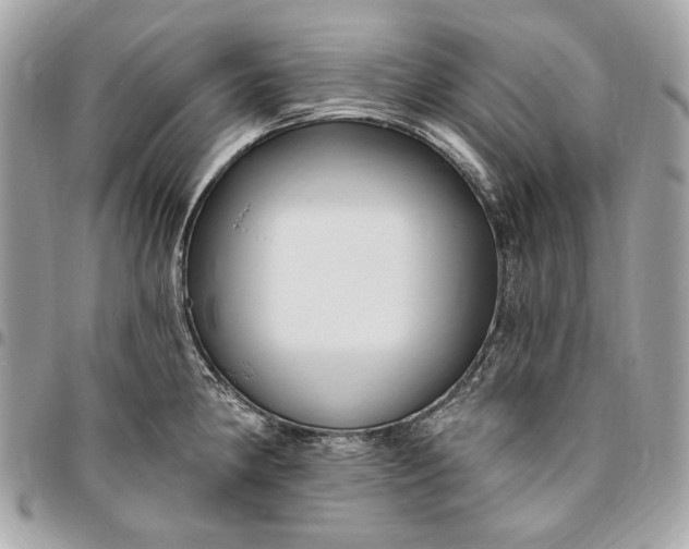 X0000096431190200802071718
