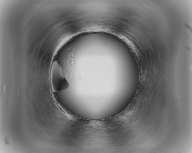 X0000096431191200802071718