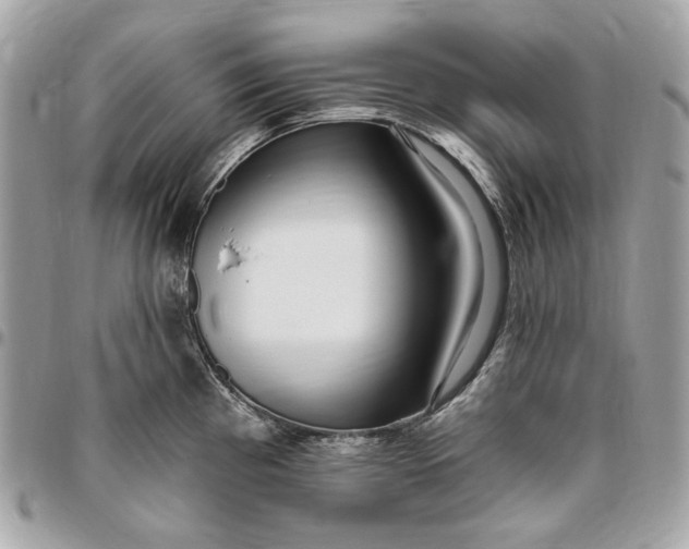 X0000096431193200802071718