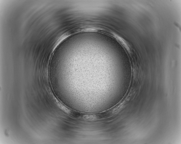 X0000096431194200802071718