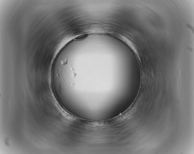 X0000096431195200802071718