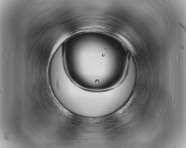X0000096431196200802071718