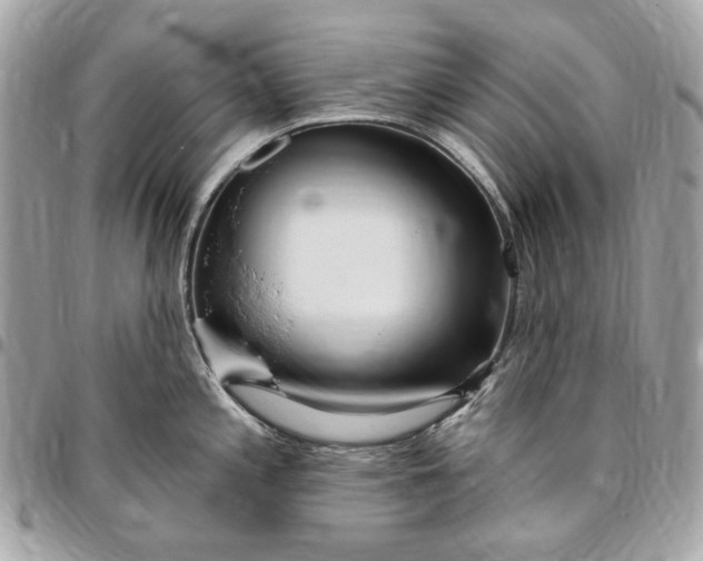 X0000096431197200802071718