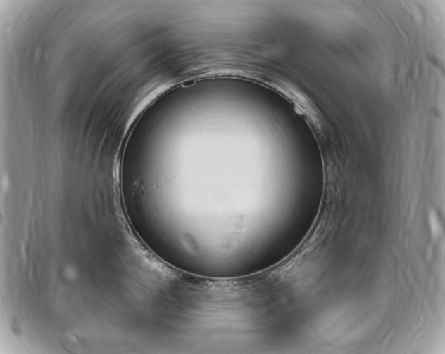 X0000096431198200802071718
