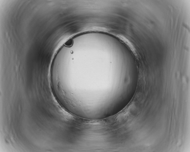 X0000096431199200802071718