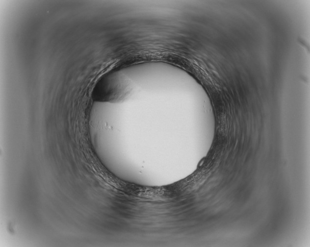 X0000096431201200802071717