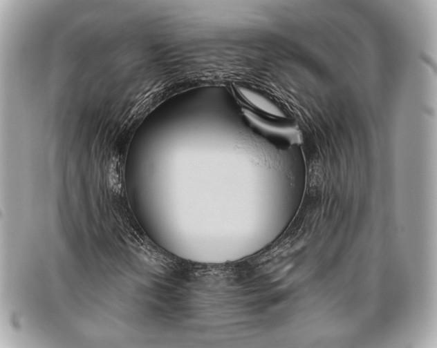 X0000096431202200802071717