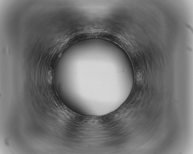 X0000096431204200802071717