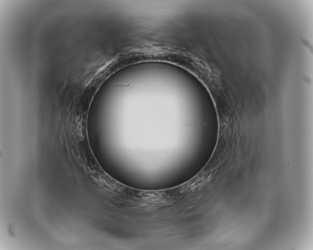 X0000096431205200802071717