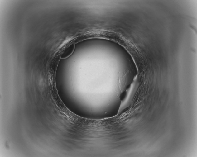 X0000096431206200802071717