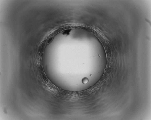 X0000096431207200802071717