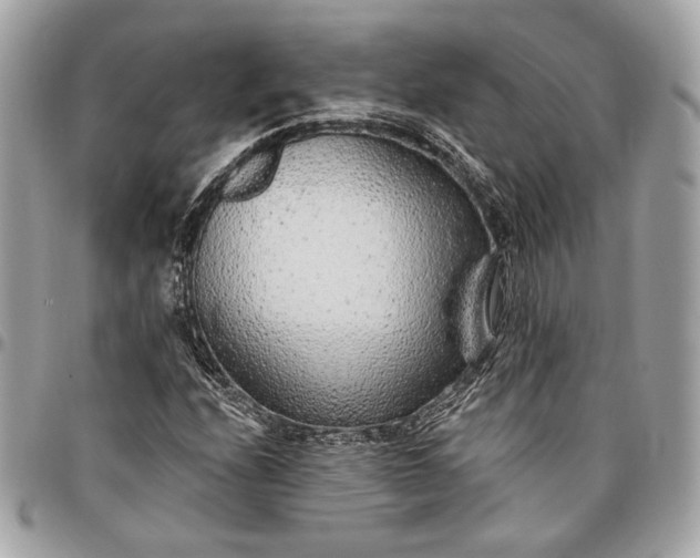 X0000096431208200802071718