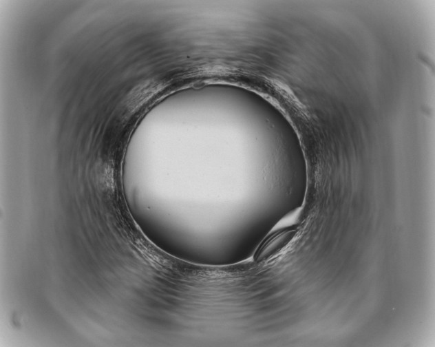 X0000096431209200802071718