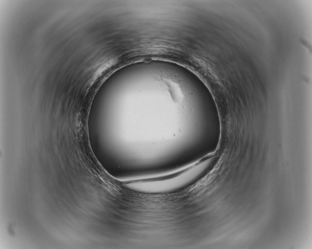 X0000096431210200802071718