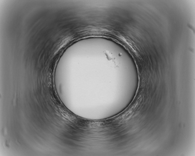 X0000096431211200802071718