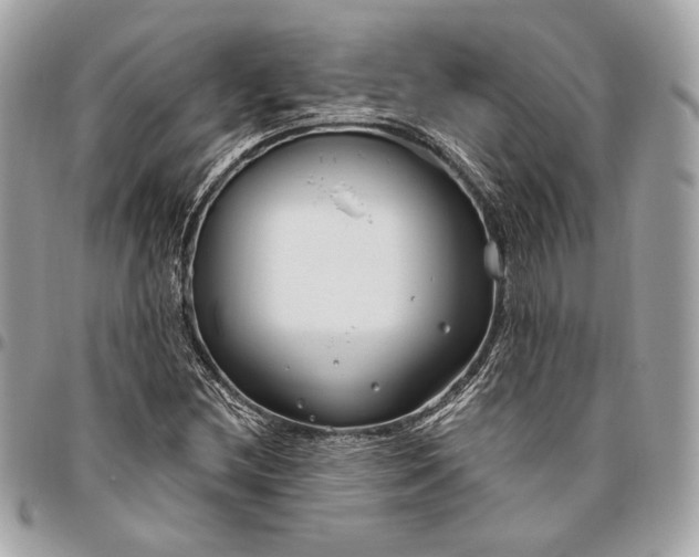 X0000096431212200802071718