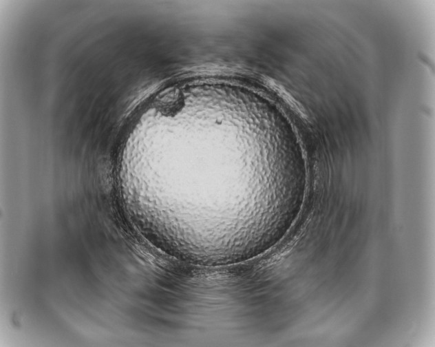 X0000096431213200802071718