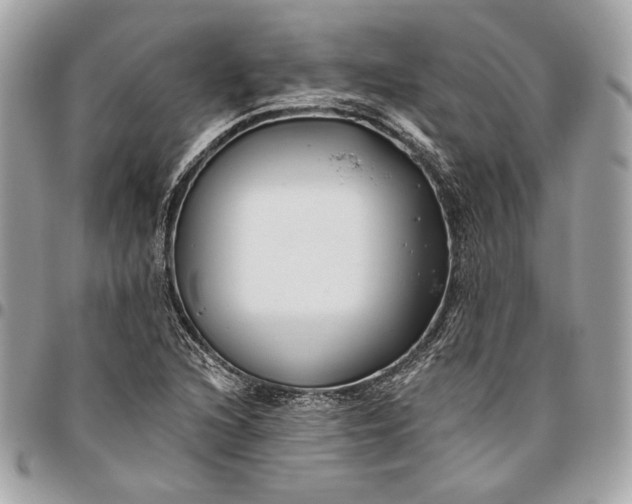 X0000096431216200802071718