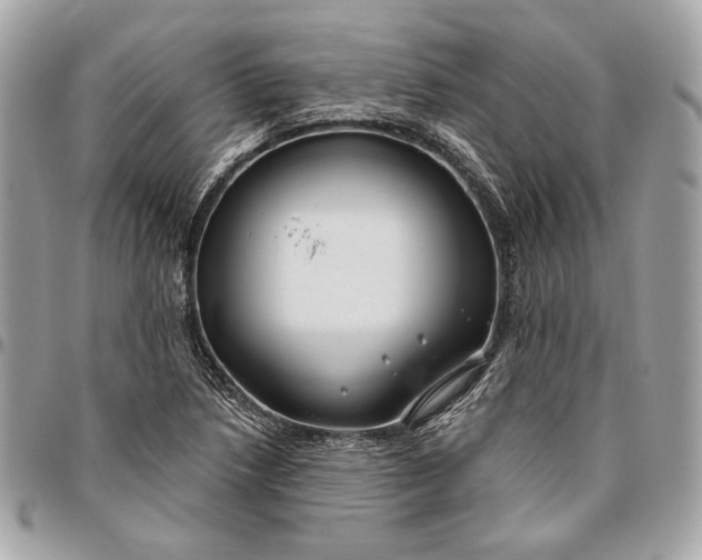 X0000096431218200802071718