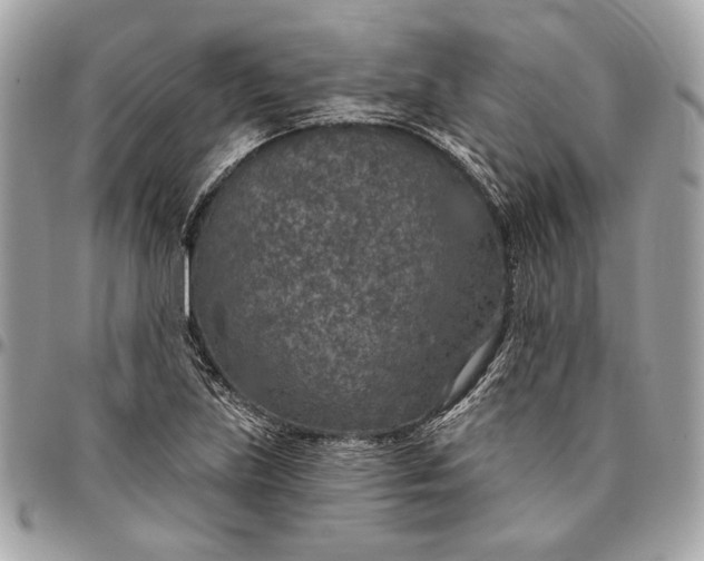 X0000096431219200802071718