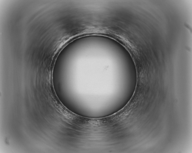 X0000096431220200802071718