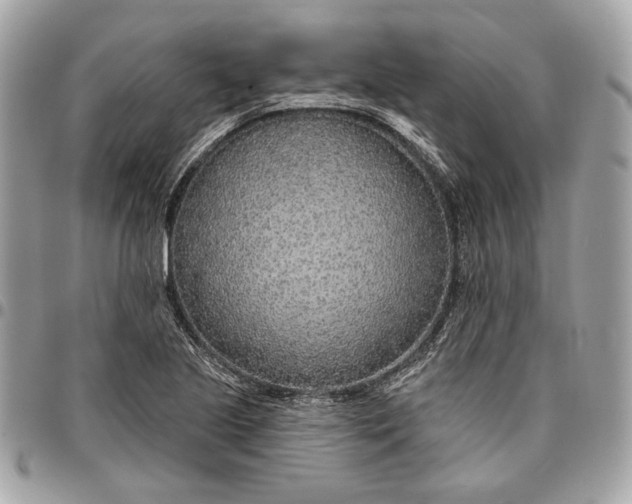 X0000096431221200802071718