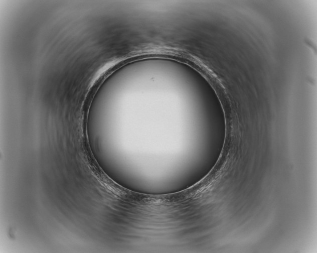 X0000096431222200802071718