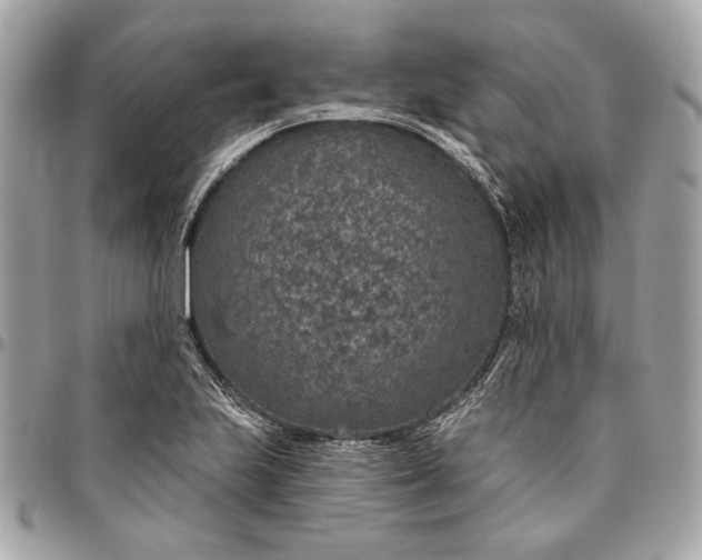 X0000096431223200802071718