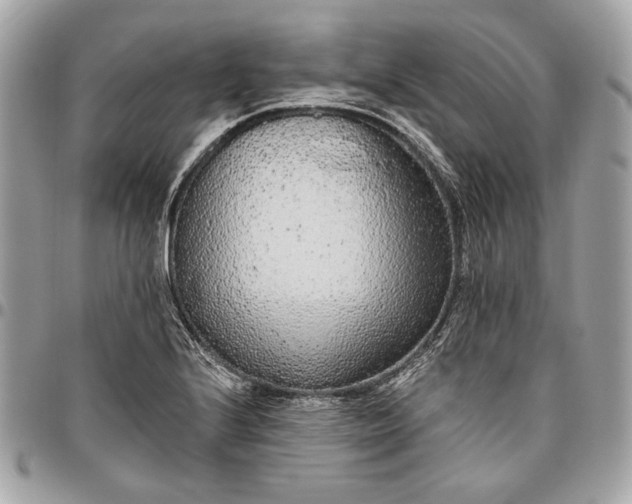 X0000096431224200802071718