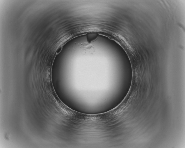 X0000096431225200802071718