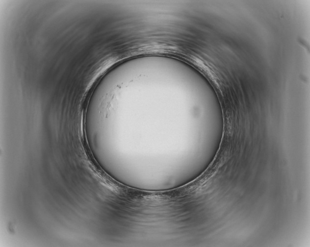 X0000096431227200802071718