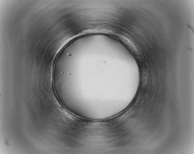 X0000096431228200802071718
