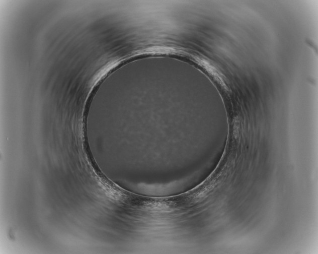 X0000096431229200802071718