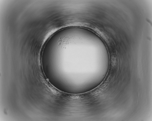 X0000096431230200802071718