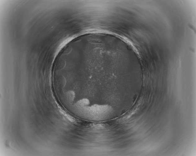 X0000096431231200802071718