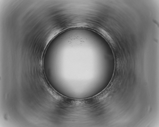 X0000096431234200802071718